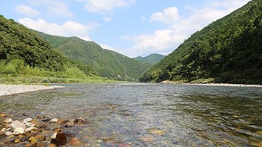 高知エリア 画像